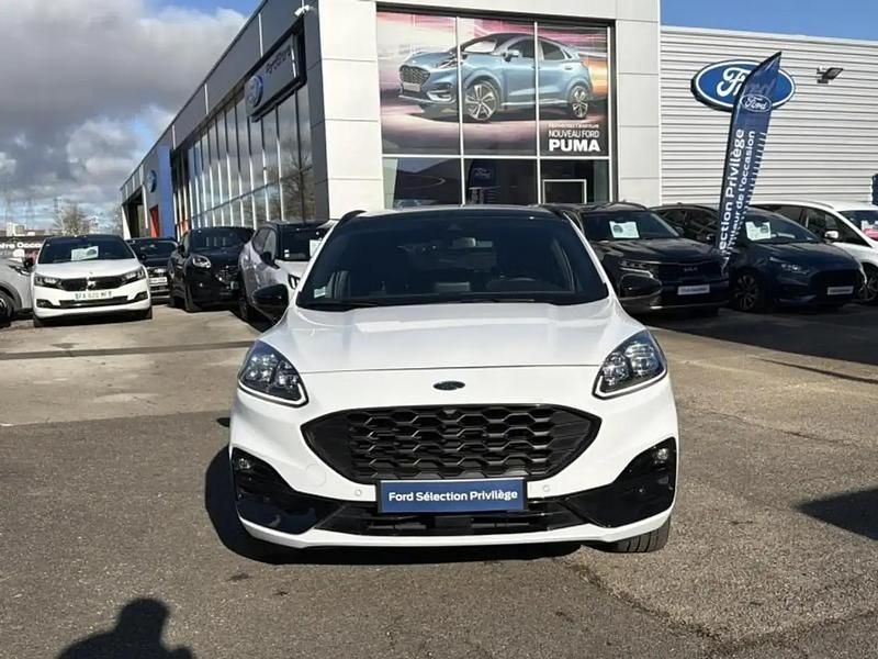 Occasion Ford Kuga ST-Line X 154 ch (113 kW) 2023 Blanc SUV