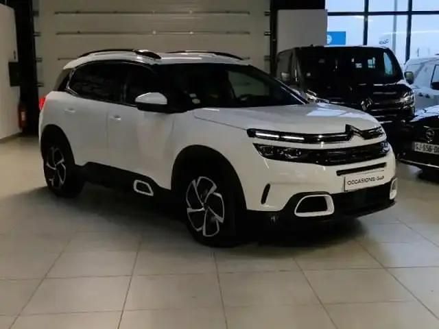 Occasion Citroën C5 Aircross Shine 2021 Blanc SUV