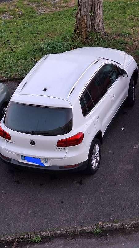 Occasion VW Tiguan Business 140 ch (102 kW) 2013 SUV