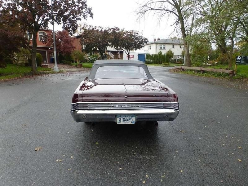 Occasion Pontiac GTO 340 ch (250 kW) 1964 Brun Coupé