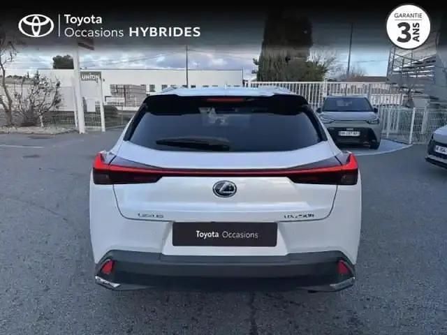 Occasion Lexus UX 250h 152 ch (111 kW) 2019 Blanc arctique métallisé SUV