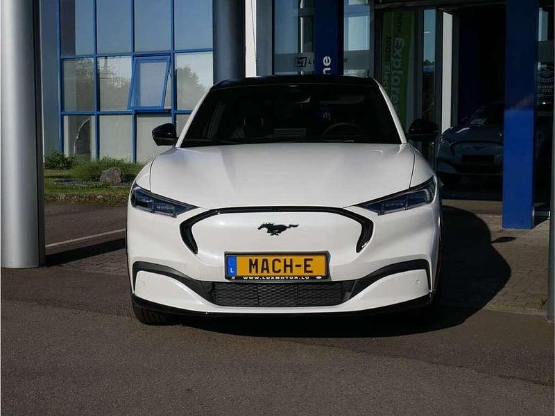 Nouvelle Ford Mustang Mach-E Extended Range 258 kW (351 ch) 2025 Blanc SUV