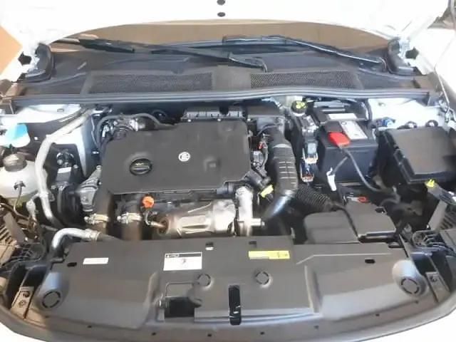 Occasion Peugeot 308 Allure 130 ch (95 kW) 2024 Blanc Berline