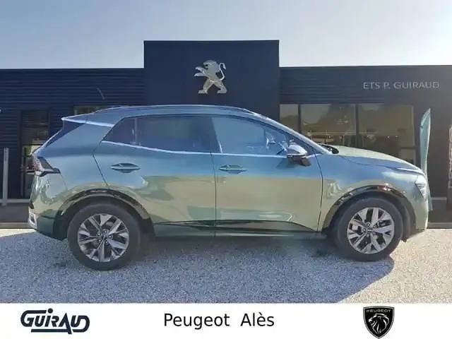 Occasion Kia Sportage 2022 Vert SUV