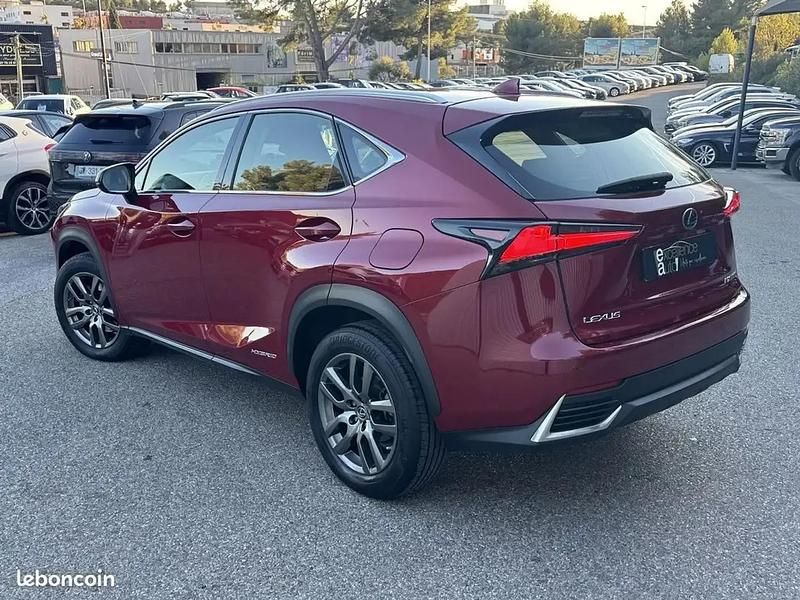 Occasion Lexus NX300h Business Edition 156 ch (114 kW) 2018 Rouge SUV