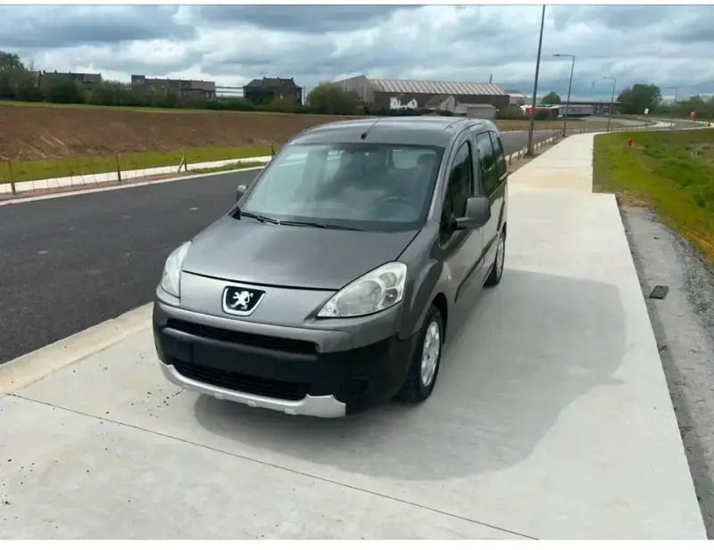 Gris Utilisé 2009 Peugeot Partner Tepee Style Monospace | 3 750 € - Image 1/4