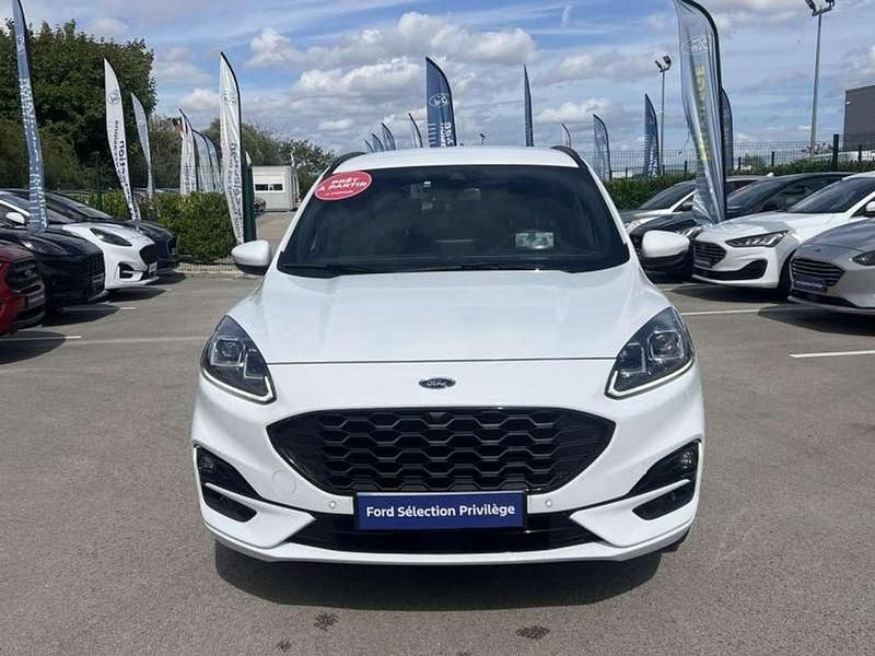 Occasion Ford Kuga ST-Line X 154 ch (113 kW) 2023 Blanc SUV