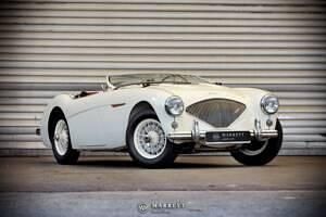 Blanc Occasion 1955 Austin Healey 100 Cabriolet | 219 950 € - Image 1/4