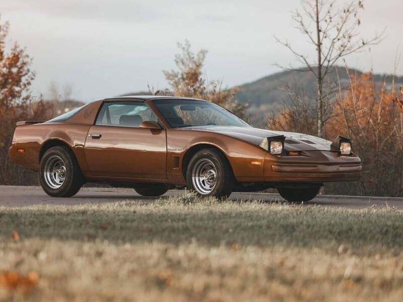 Marron Utilisé 1986 Pontiac Firebird Cabriolet | 5 950 € - Image 1/4