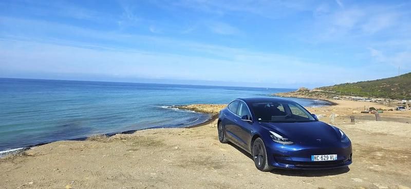 Occasion 2020 Tesla Model 3 Standard Range Plus Berline | 18 500 € (Prix juste) - Image 1/4