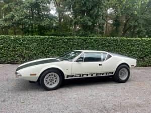 Occasion De Tomaso Pantera 330 ch (242 kW) 1972 Blanc Coupé
