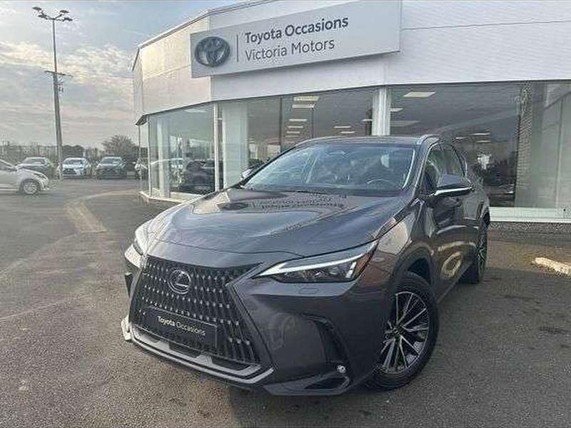 Occasion 2023 Lexus NX350h Business Edition | 43 900 € (Prix juste) - Image 1/1