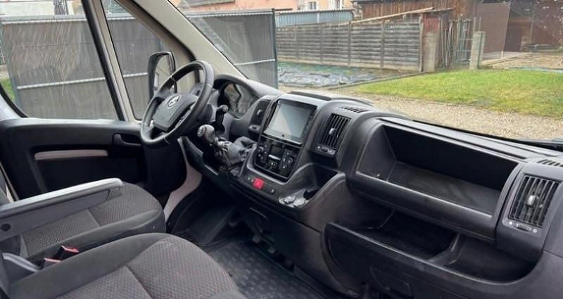 Occasion Opel Movano Business 141 ch (103 kW) 2023 Blanc Van