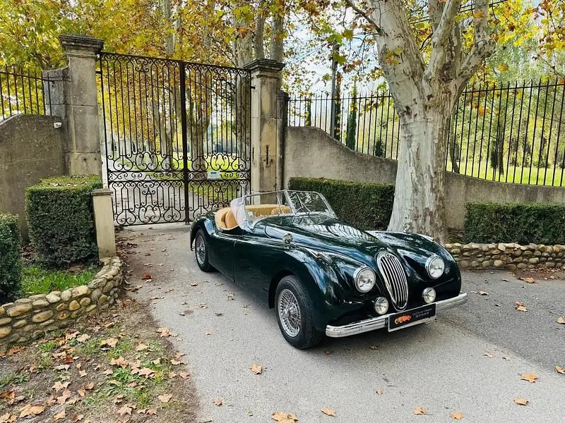 Vert Occasion 1952 Jaguar XK Cabriolet | 62 990 € - Image 1/4