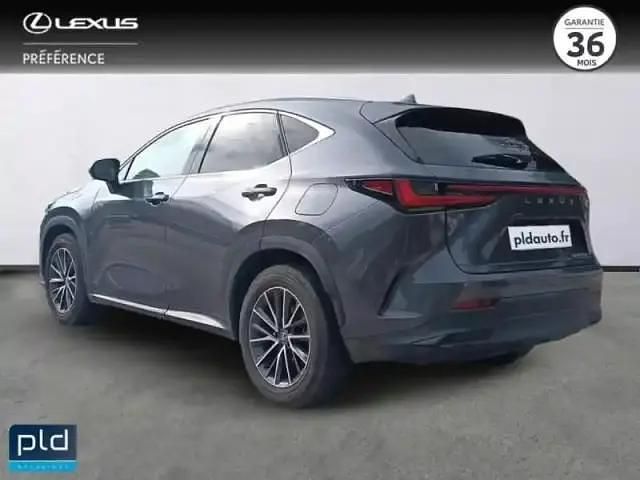 Occasion Lexus NX450h+ 2024 Gris de payne métallisé SUV