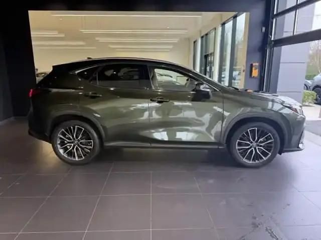 Occasion Lexus NX450h+ Executive Line 2022 Vert kaki métallisé SUV