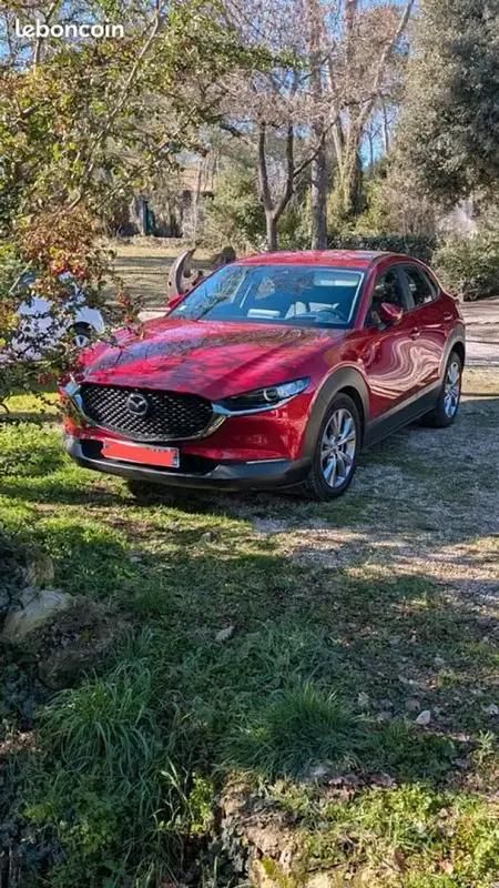 Utilisé 2020 Mazda CX-30 Style SUV | 22 000 € (Prix juste) - Image 1/4