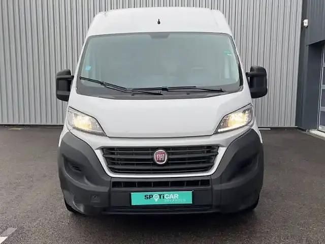 Occasion Fiat Ducato 2019 Blanc Van
