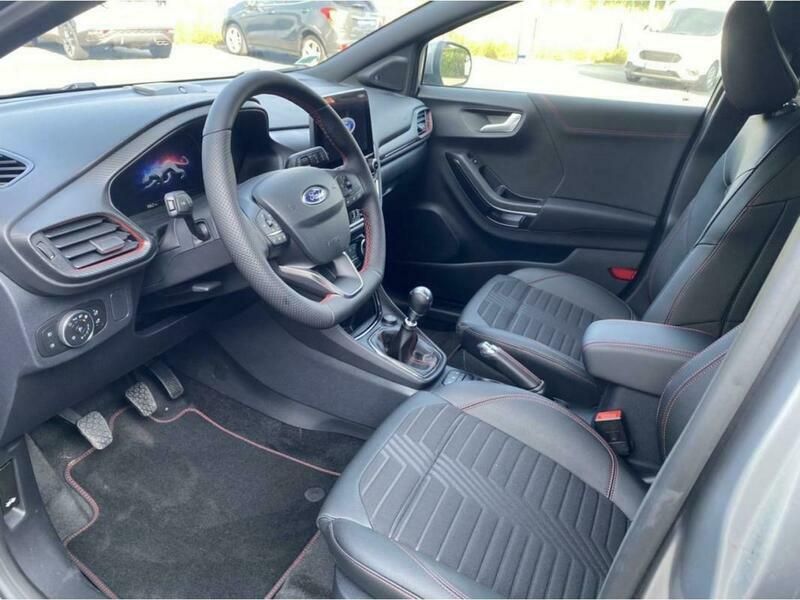 ford ethanol puma
