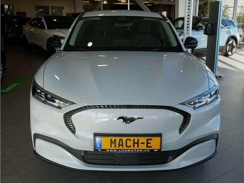 Nouvelle Ford Mustang Mach-E Standard Range 197 kW (269 ch) 2025 Blanc SUV