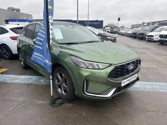 Occasion Ford Kuga ST-Line X 180 ch (132 kW) 2024 Vert SUV