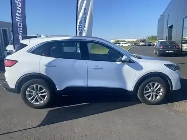 Occasion Ford Kuga Titanium 152 ch (111 kW) 2023 Blanc glacier SUV