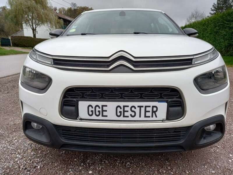 Occasion Citroën C4 Cactus Feel 102 ch (75 kW) 2020 Blanc Citadine