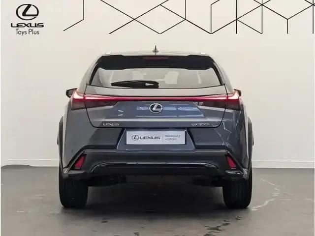 Occasion Lexus UX 300h Sport Design Packet 154 ch (113 kW) 2024 Gris SUV