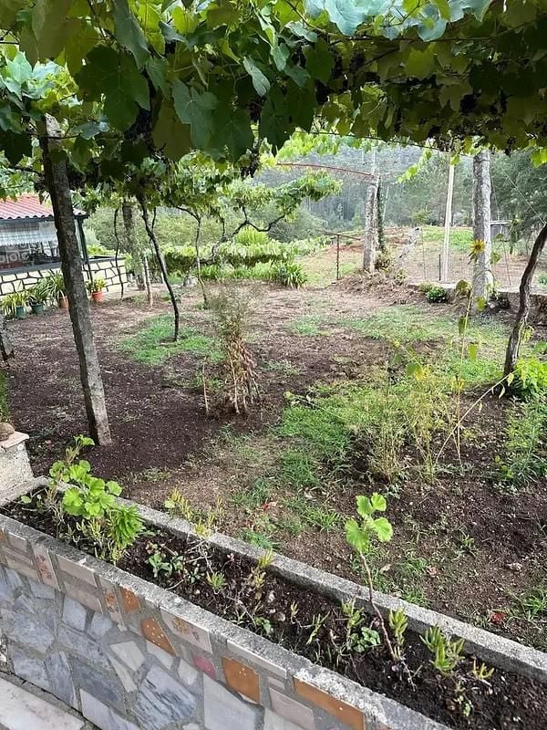 Occasion Mercedes ML350 258 ch (189 kW) 2013 Noir SUV