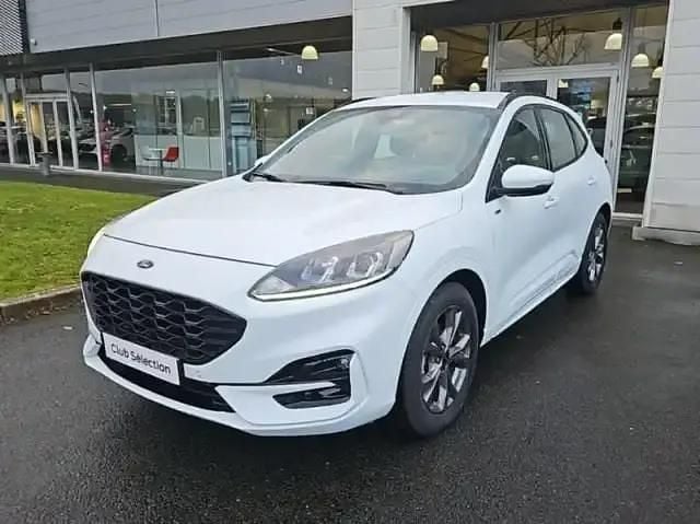 Blanc Occasion 2024 Ford Kuga ST-Line SUV | 26 900 € (Bon prix) - Image 1/4
