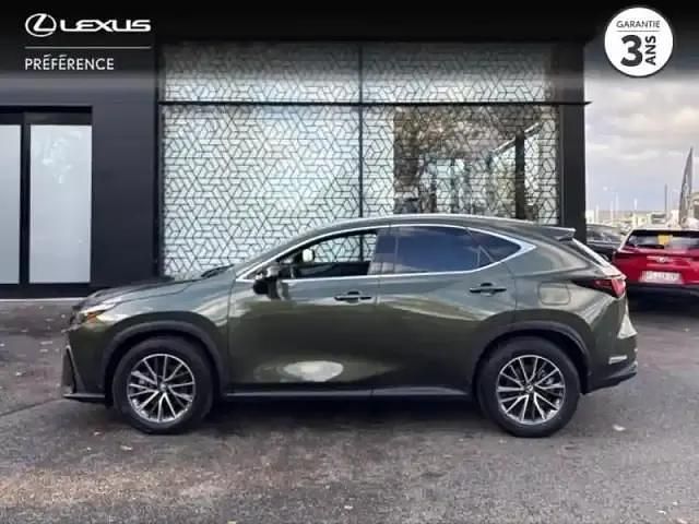 Occasion Lexus NX450h+ 2024 Vert kaki métallisé SUV