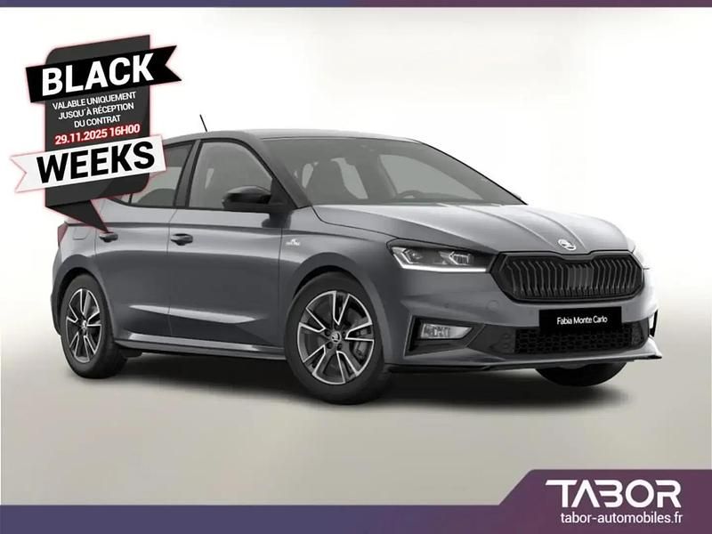 Gris Utilisé 2024 Skoda Fabia | 24 996 € (Prix juste) - Image 1/4