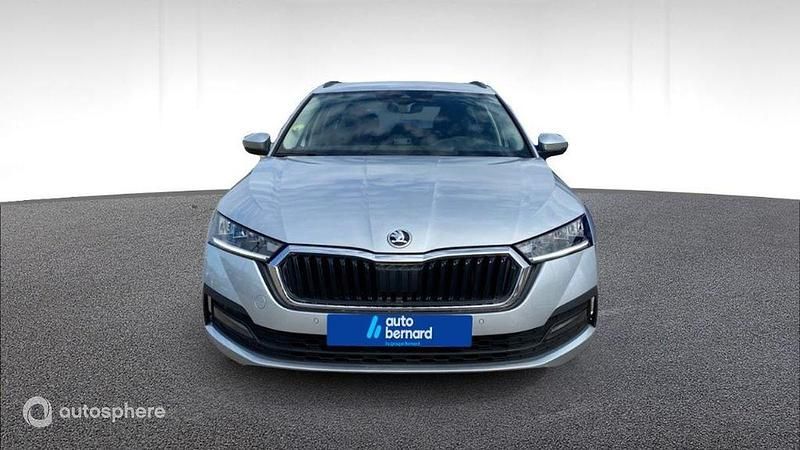 Occasion Skoda Octavia Business Line 150 ch (110 kW) 2023 Gris Break
