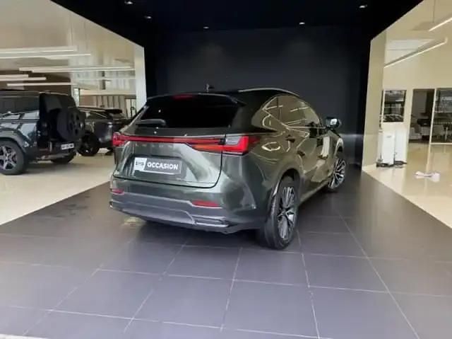 Occasion Lexus NX450h+ Executive Line 2022 Vert kaki métallisé SUV