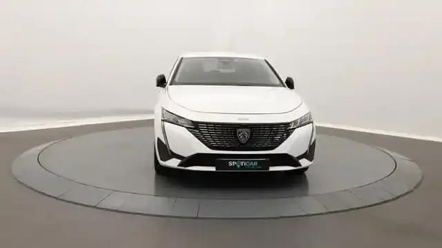 Occasion Peugeot 308 SW Allure 2023 Blanc Break