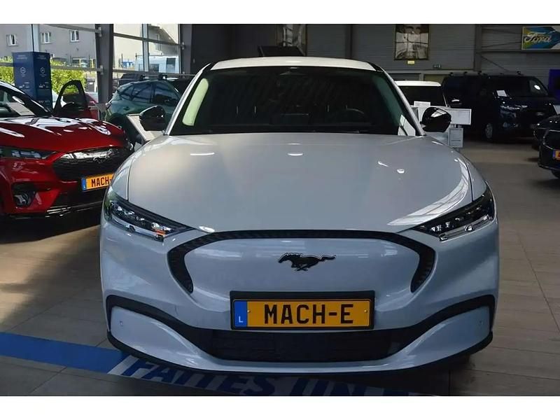 Blanc Nouvelle 2025 Ford Mustang Mach-E Standard Range SUV | 41 024 € (Prix juste) - Image 1/4