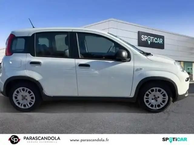 Occasion Fiat Panda Tech 2022 Blanc Citadine