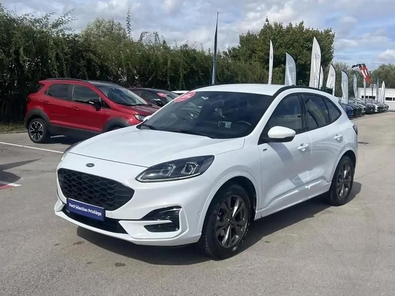 Occasion Ford Kuga ST-Line X 154 ch (113 kW) 2023 Blanc SUV