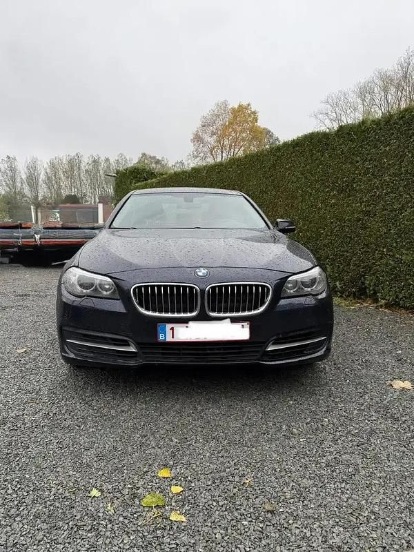 Bleu Utilisé 2013 BMW 520 Berline | 10 300 € (Bon prix) - Image 1/4