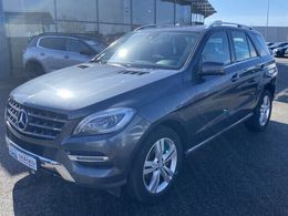 Mercedes ML250