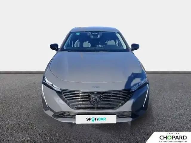 Occasion Peugeot 308 SW S 2024 Gris sellenium metallisee Break