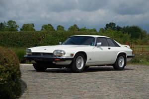 Occasion Jaguar XJS 281 ch (206 kW) 1989 Blanc Cabriolet