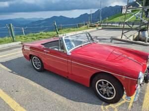 Occasion MG Midget 59 ch (43 kW) 1966 Rouge Cabriolet