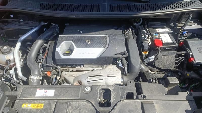 Image 3/3