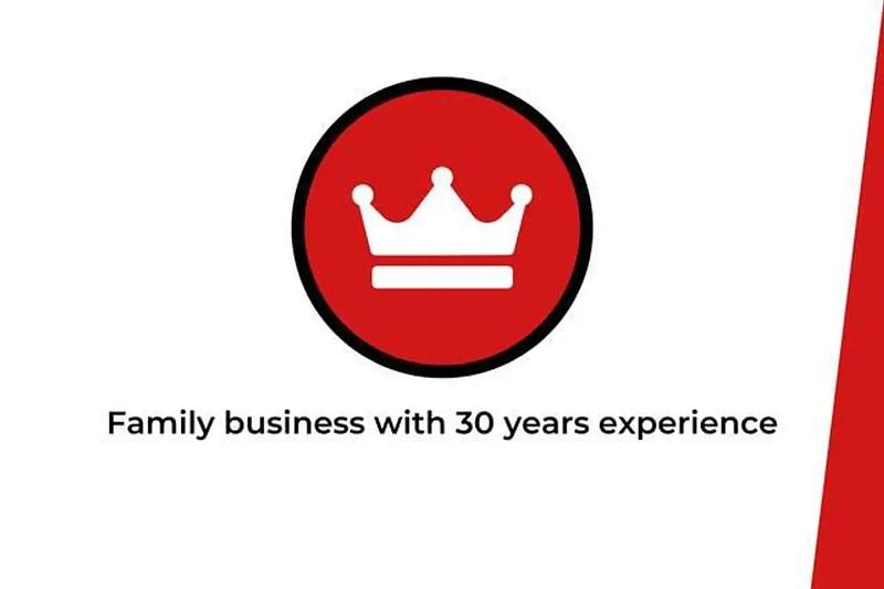 Occasion Ford Focus ST 280 ch (205 kW) 2020 Bleu Berline