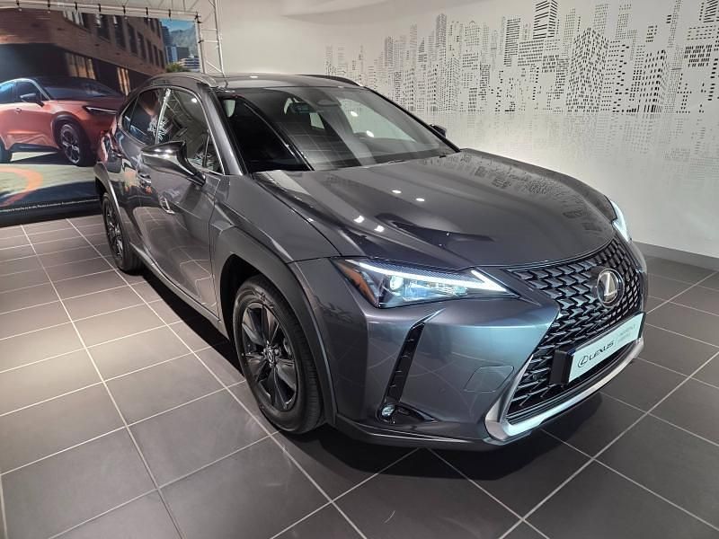 Gris Utilisé 2025 Lexus UX 300h SUV | 41 900 € (Super prix) - Image 1/4