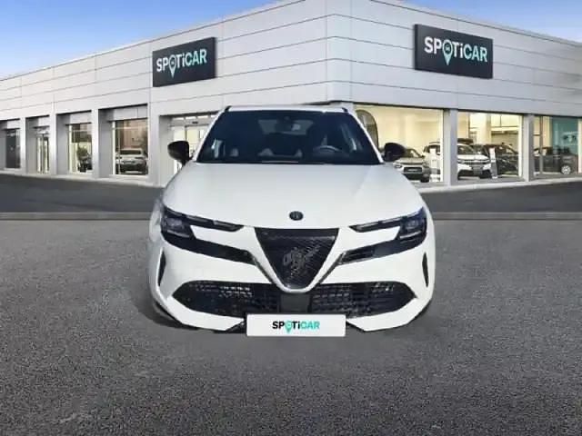 Occasion Alfa Romeo Junior 2025 Blanc SUV