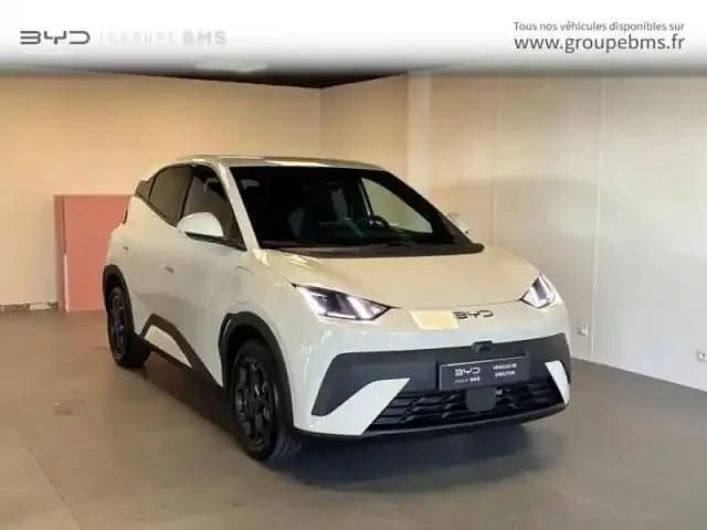 Apricity white Occasion 2025 BYD Dolphin Surf Comfort Citadine | 22 900 € - Image 1/4