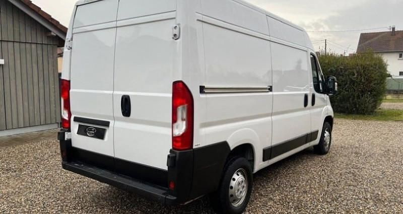 Occasion Opel Movano Business 141 ch (103 kW) 2023 Blanc Van
