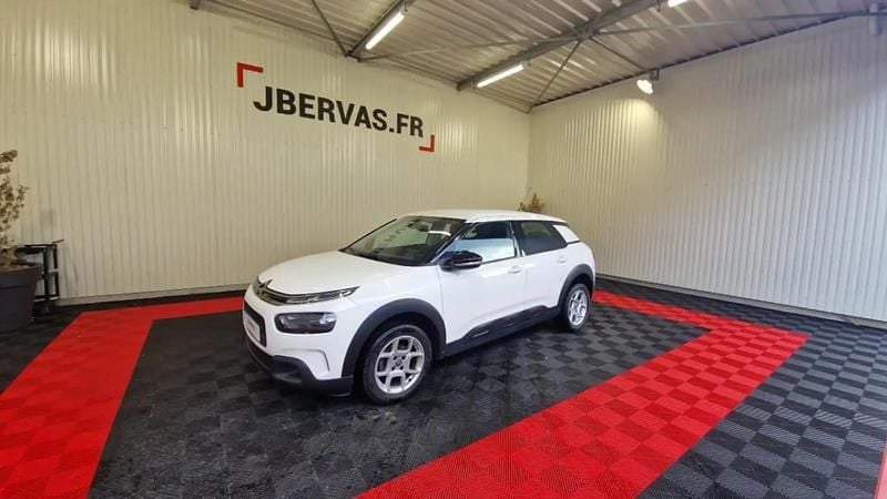 Blanc Utilisé 2019 Citroën C4 Cactus Feel Citadine | 9 990 € (Bon prix) - Image 1/4
